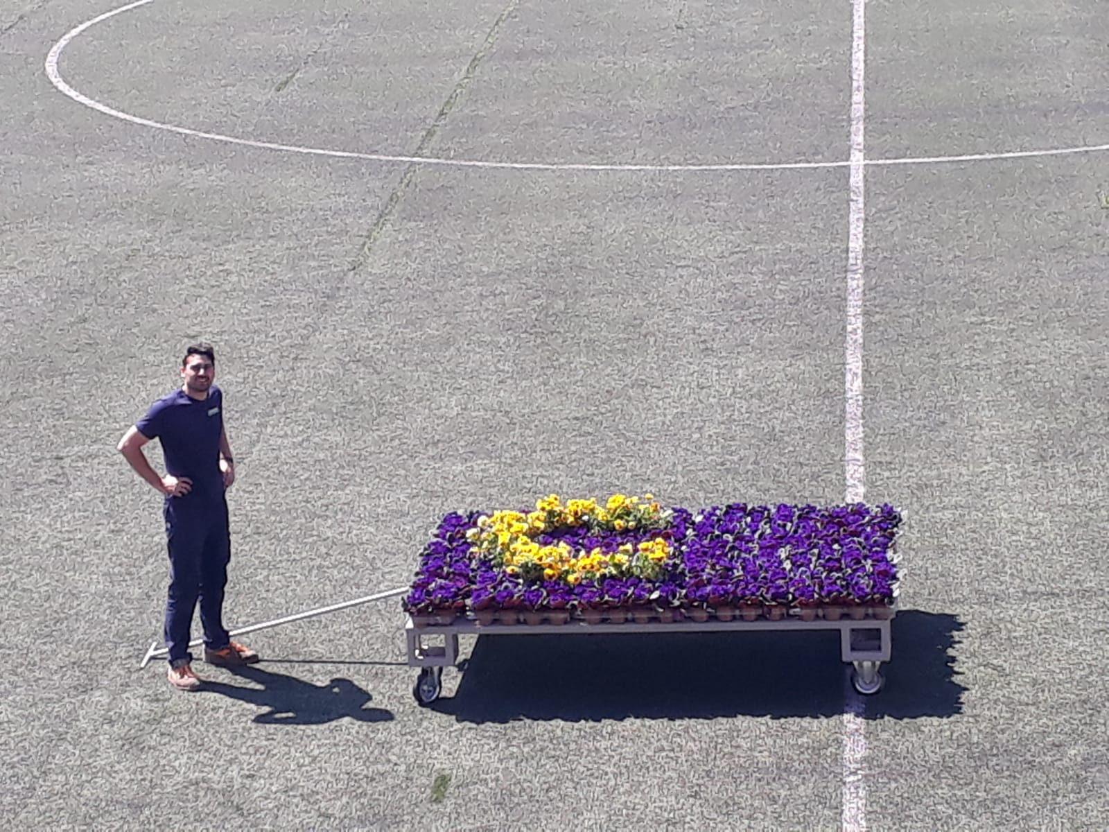 Prima delle case c’erano violette