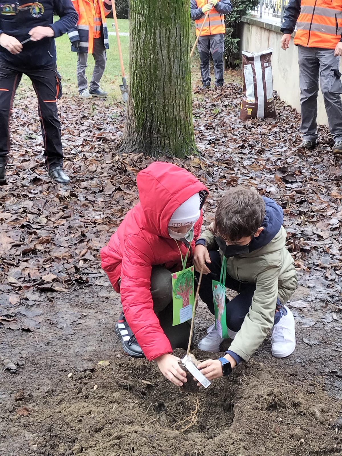 Festa degli Alberi